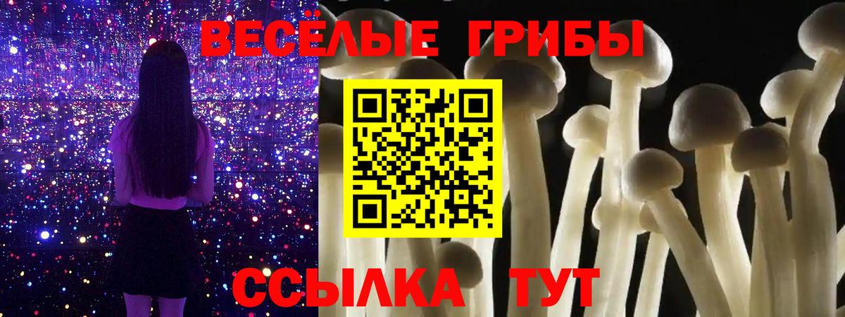 Псилоцибиновые грибы MAGIC MUSHROOMS  Вход с VPN  Избербаш 